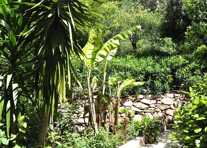 Private - Adult Only Porto-Vecchio (Corsica)