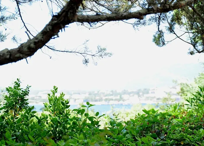 Private - Adult Only Porto-Vecchio (Corsica)