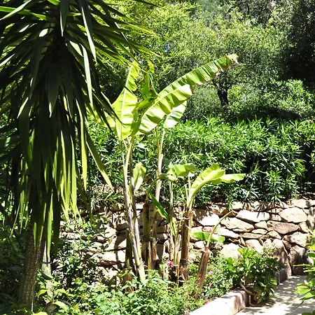 Private - Adults Only Porto-Vecchio (Corsica)