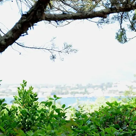 Private - Adult Only Porto-Vecchio (Corsica)