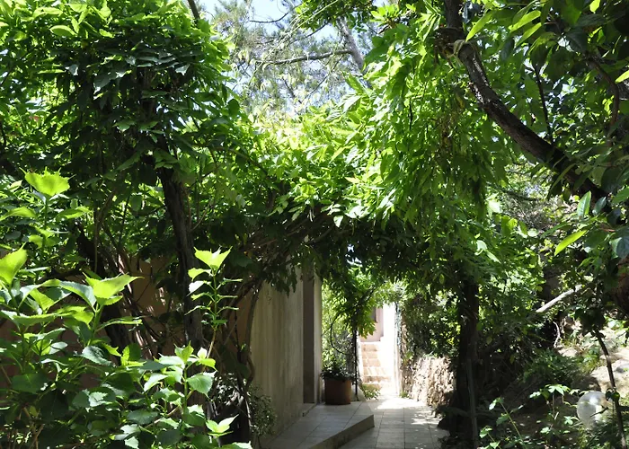 酒店 Private - Adults Only