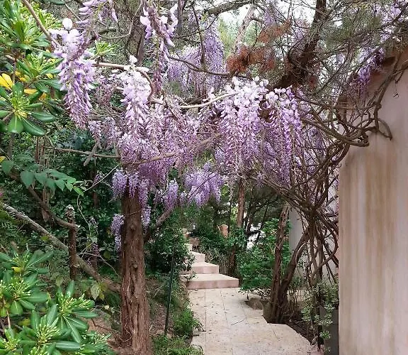 Private - Adults Only 酒店