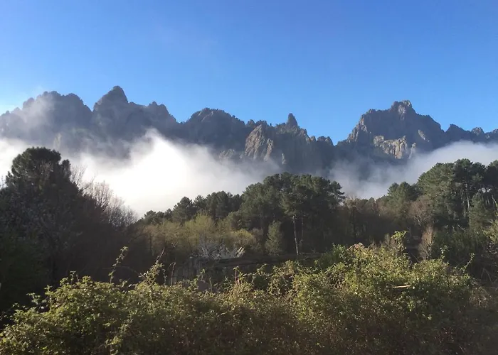 酒店 Private - Adults Only 维琪奥港